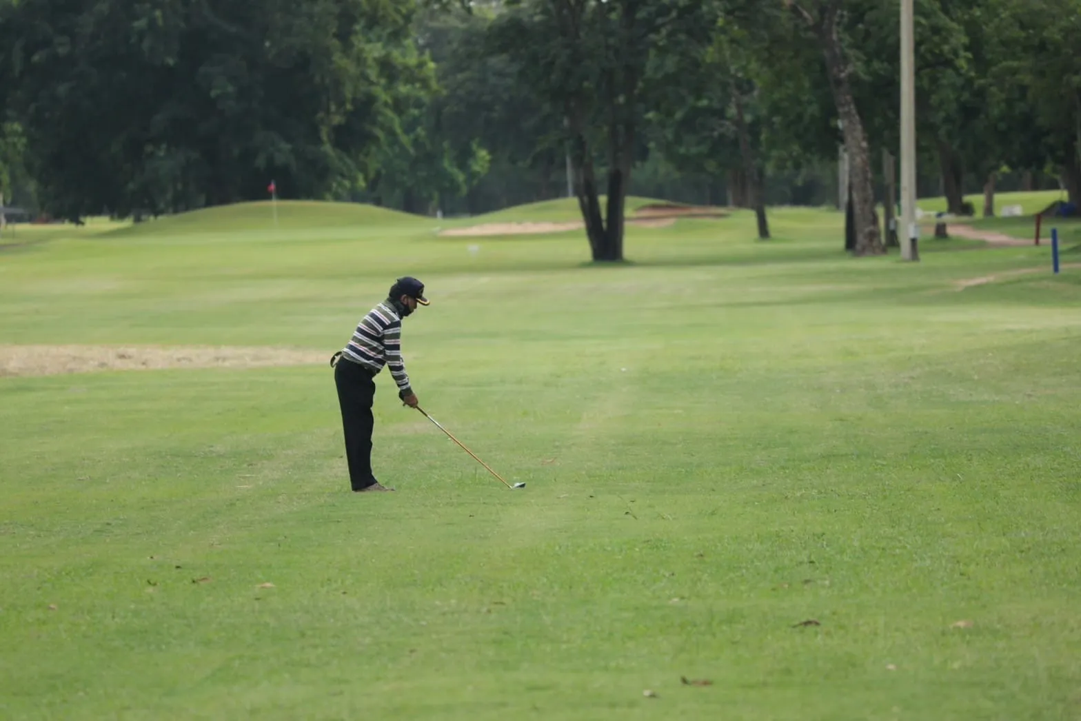 Tiger Golf Club